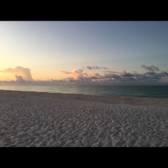 Meet your Posher, Crystal - Picture 1 of 1